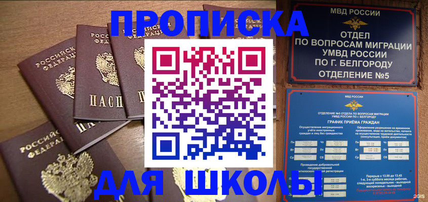 прописка гарантия в Сланцах